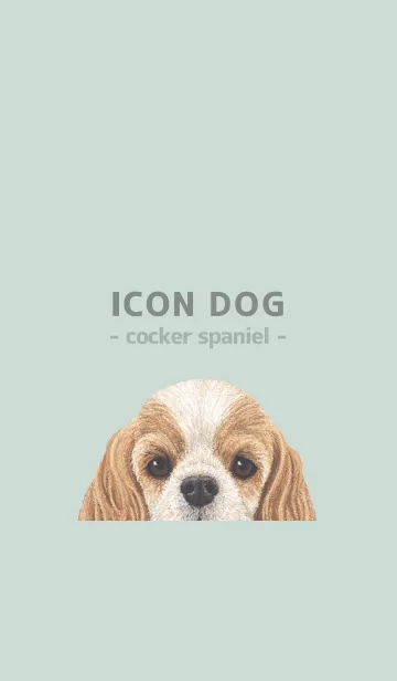 [LINE着せ替え] ICON DOG - コッカー - PASTEL GR/04の画像1