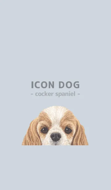 [LINE着せ替え] ICON DOG - コッカー - PASTEL BL/04の画像1