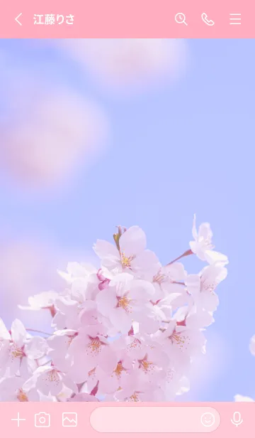 [LINE着せ替え] SakuraBokeh 1の画像2