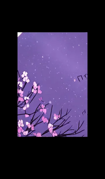 [LINE着せ替え] 月光夜桜#CM019。の画像1