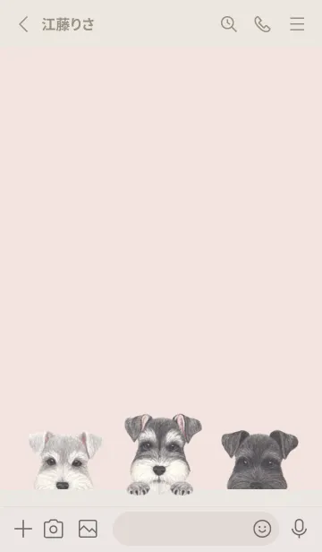 [LINE着せ替え] シュナウザー - パステルピンクの画像2