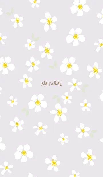 [LINE着せ替え] 白い花 大人カラー9の画像1