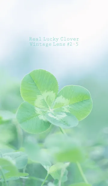 [LINE着せ替え] 四つ葉のクローバー Vintage Lens #2-5の画像1