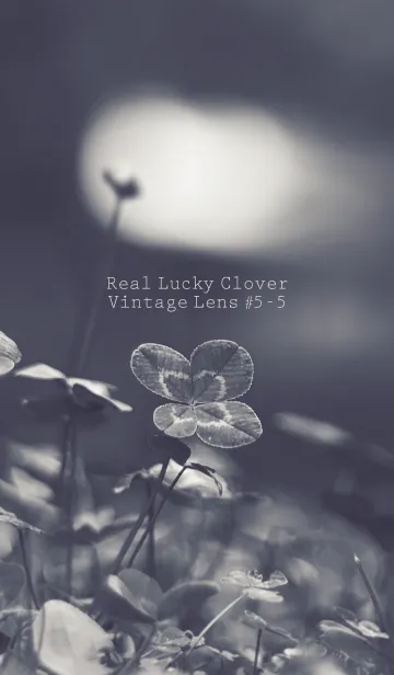 [LINE着せ替え] 四つ葉のクローバー Vintage Lens #5-5の画像1