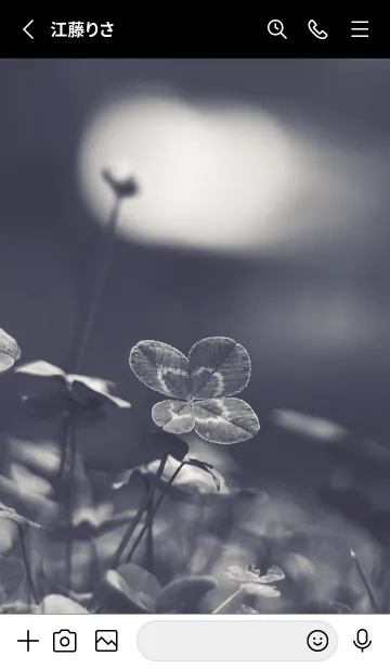 [LINE着せ替え] 四つ葉のクローバー Vintage Lens #5-5の画像2