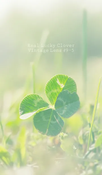 [LINE着せ替え] 四つ葉のクローバー Vintage Lens #9-5の画像1