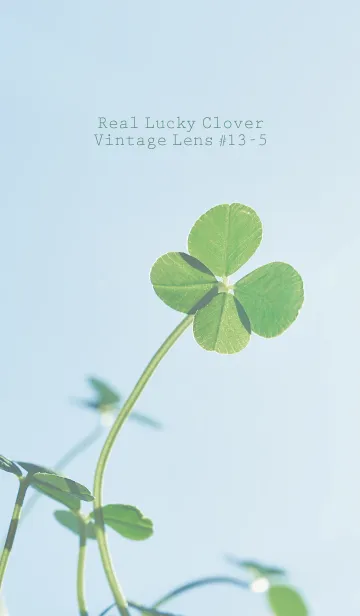 [LINE着せ替え] 四つ葉のクローバー Vintage Lens #13-5の画像1