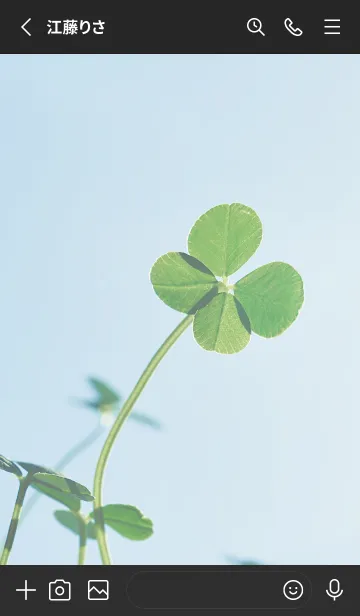 [LINE着せ替え] 四つ葉のクローバー Vintage Lens #13-5の画像2