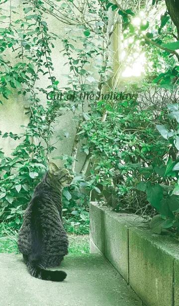 [LINE着せ替え] Cat of the holiday-MEKYM 9の画像1