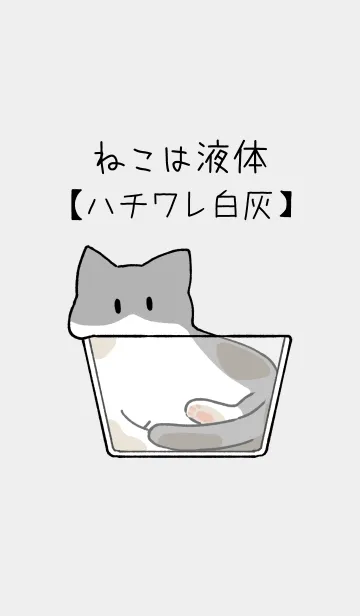 [LINE着せ替え] ねこは液体【ハチワレ猫-白灰】の画像1