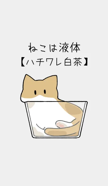 [LINE着せ替え] ねこは液体【ハチワレ猫-白茶】の画像1