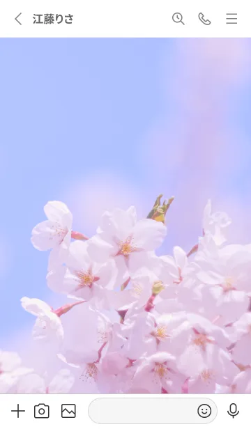 [LINE着せ替え] SakuraBokeh 2の画像2