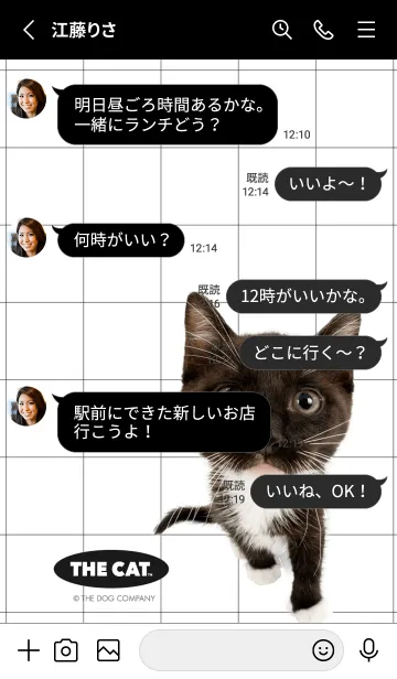 [LINE着せ替え] THE CAT latticeの画像3