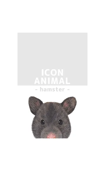 [LINE着せ替え] ICON ANIMAL - ゴルハム - GRAY/02の画像1