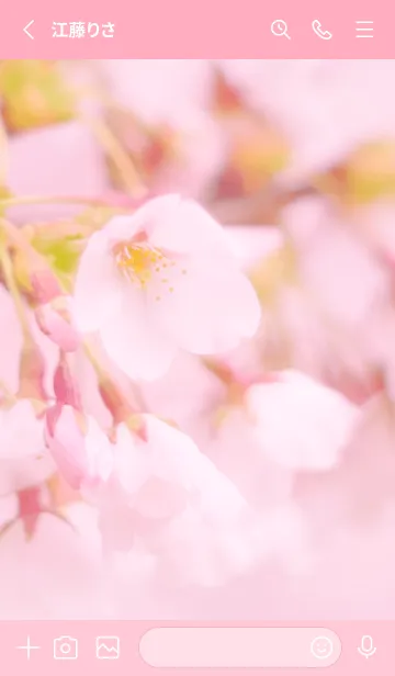 [LINE着せ替え] SakuraBokeh 3の画像2