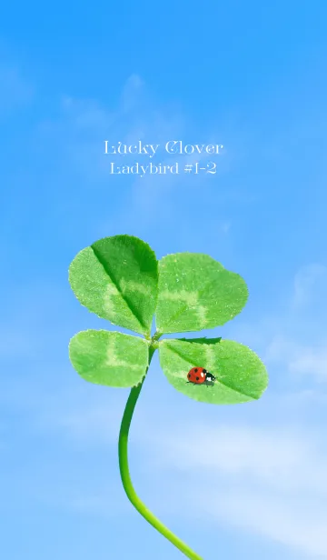 [LINE着せ替え] 四つ葉のクローバーとテントウムシ #1-2の画像1