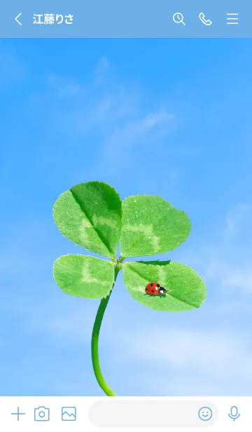 [LINE着せ替え] 四つ葉のクローバーとテントウムシ #1-2の画像2