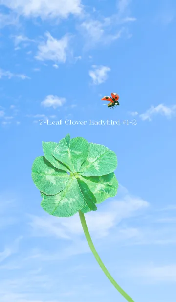 [LINE着せ替え] 七つ葉のクローバーとテントウムシ #1-2の画像1