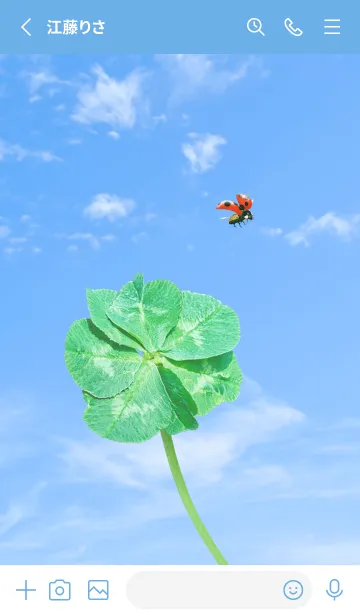 [LINE着せ替え] 七つ葉のクローバーとテントウムシ #1-2の画像2