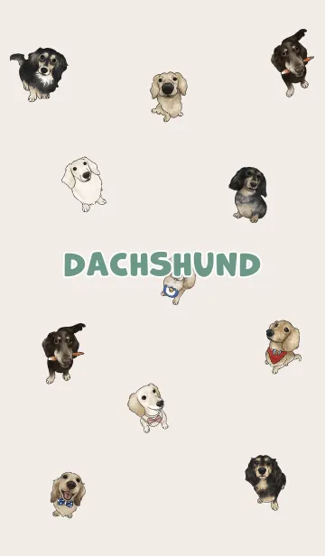 [LINE着せ替え] dachshund6 / light cream .jpの画像1