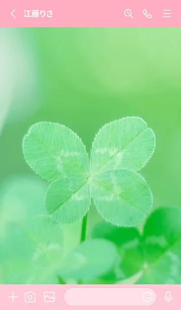 [LINE着せ替え] 四つ葉のクローバー Vintage Lens #4-6の画像2