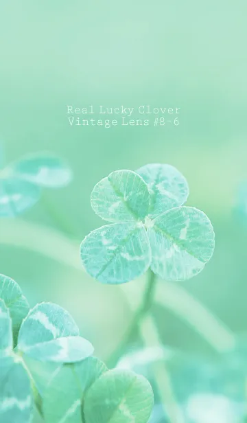 [LINE着せ替え] 四つ葉のクローバー Vintage Lens #8-6の画像1