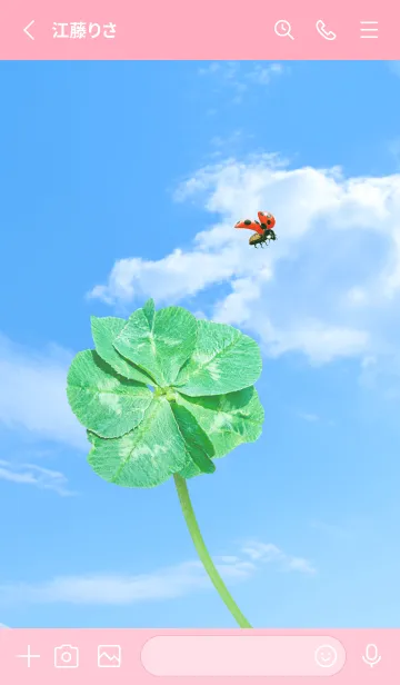 [LINE着せ替え] 七つ葉のクローバーとテントウムシ #2-2の画像2