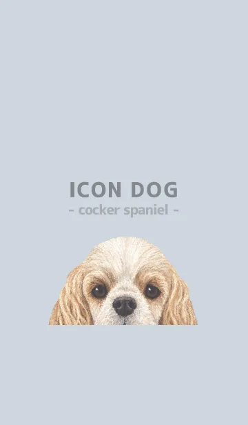 [LINE着せ替え] ICON DOG - コッカー - PASTEL BL/06の画像1