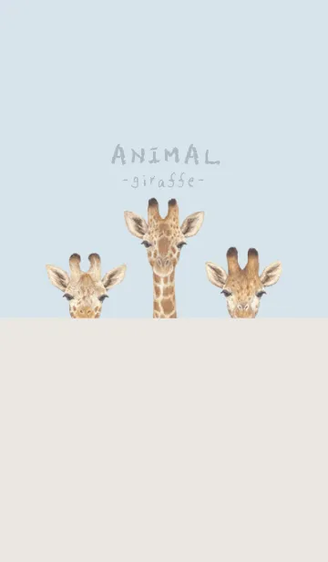 [LINE着せ替え] ANIMAL - キリン - パステルブルーの画像1