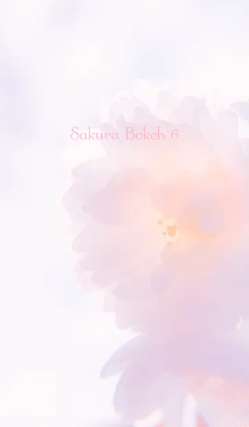 [LINE着せ替え] SakuraBokeh 6の画像1