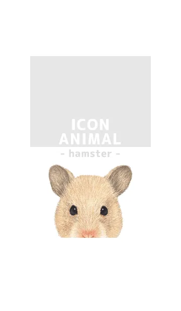 [LINE着せ替え] ICON ANIMAL - ゴルハム - GRAY/03の画像1