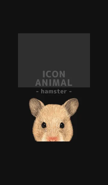 [LINE着せ替え] ICON ANIMAL - ゴルハム - BLACK/03の画像1