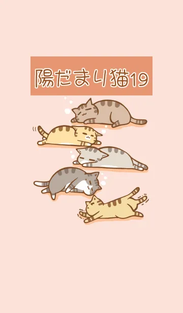 [LINE着せ替え] 陽だまり猫 19 トラ柄の画像1