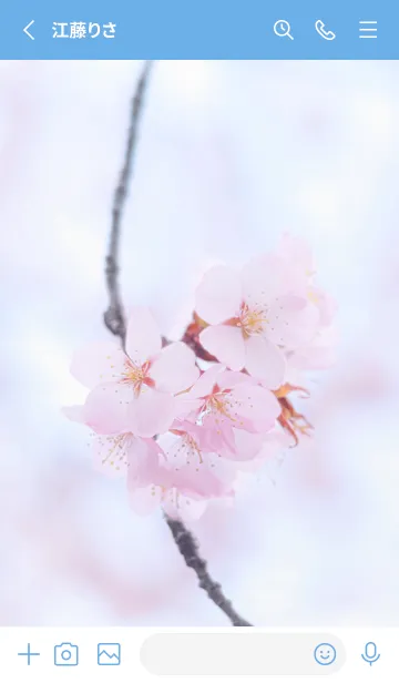 [LINE着せ替え] SakuraBokeh 7の画像2