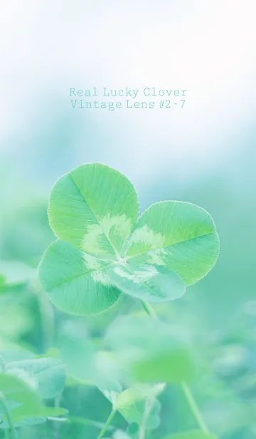 [LINE着せ替え] 四つ葉のクローバー Vintage Lens #2-7の画像1