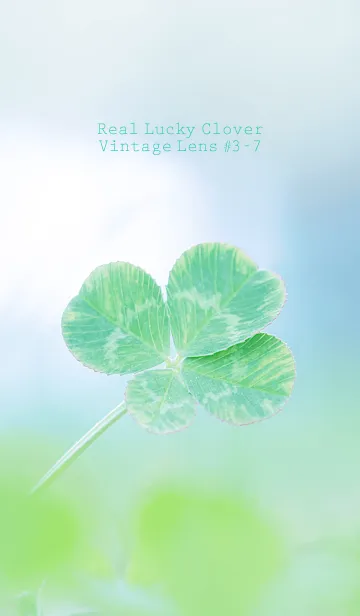 [LINE着せ替え] 四つ葉のクローバー Vintage Lens #3-7の画像1