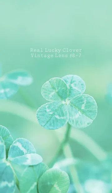 [LINE着せ替え] 四つ葉のクローバー Vintage Lens #8-7の画像1