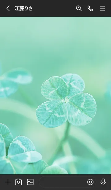 [LINE着せ替え] 四つ葉のクローバー Vintage Lens #8-7の画像2