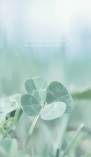 [LINE着せ替え] 四つ葉のクローバー Vintage Lens #12-7の画像1