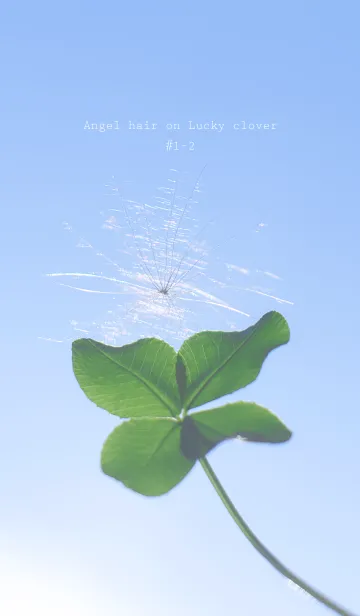 [LINE着せ替え] 幸運の妖精ケサランパサラン #1-2の画像1