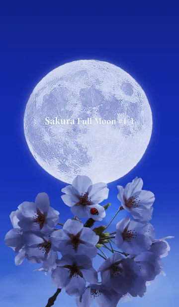 [LINE着せ替え] Sakura Full Moon #1-1の画像1