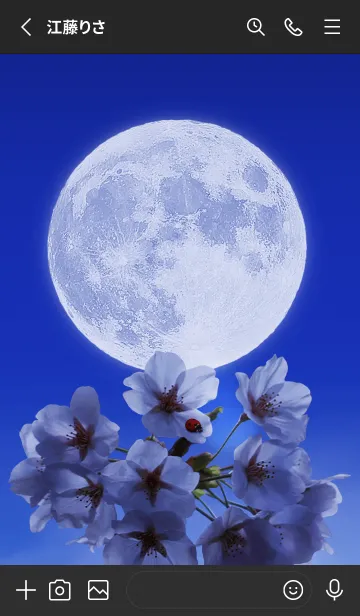 [LINE着せ替え] Sakura Full Moon #1-1の画像2