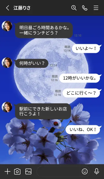 [LINE着せ替え] Sakura Full Moon #1-1の画像3