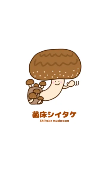 [LINE着せ替え] 菌床シイタケの画像1