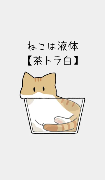 [LINE着せ替え] ねこは液体【茶トラ白猫】の画像1