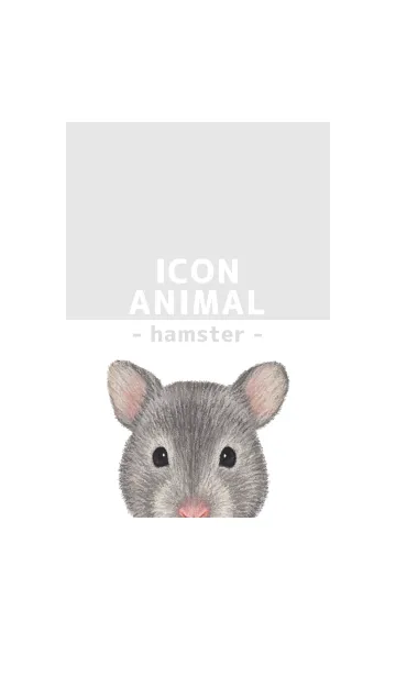 [LINE着せ替え] ICON ANIMAL - ゴルハム - GRAY/04の画像1