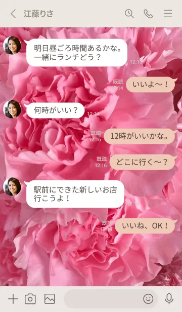 [LINE着せ替え] FLOWER-CARNATION 22の画像3