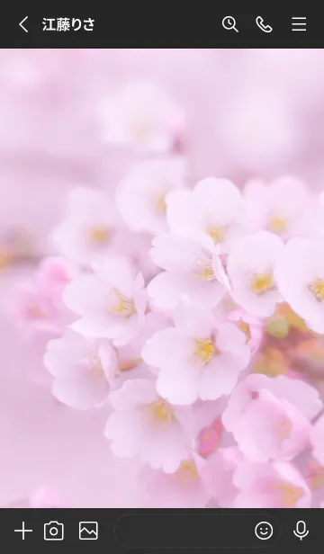[LINE着せ替え] SakuraBokeh 9の画像2