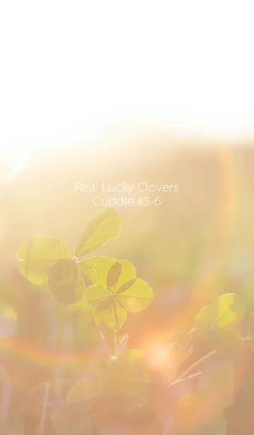 [LINE着せ替え] 四つ葉のクローバー Cuddle #5-6の画像1
