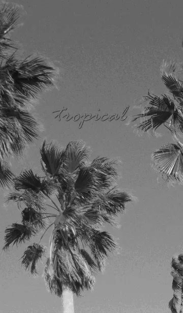 [LINE着せ替え] モノクロのトロピカルなヤシの風景が癒す☆の画像1